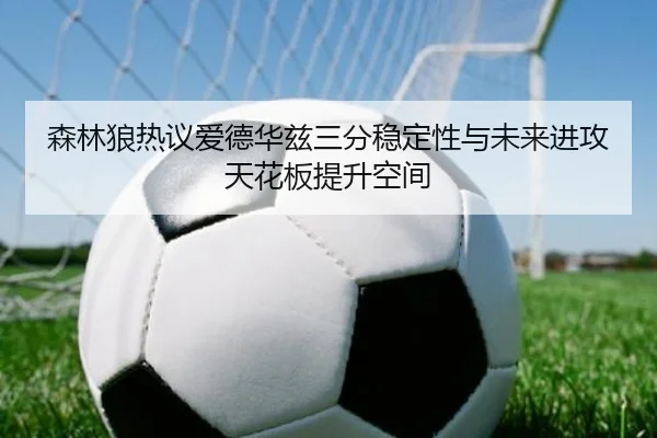 森林狼热议爱德华兹三分稳定性与未来进攻天花板提升空间